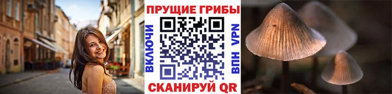 Купить где  Валдай  Галлюциногенные грибы прущие грибы 